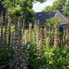 Bergen, the Netherlands 18