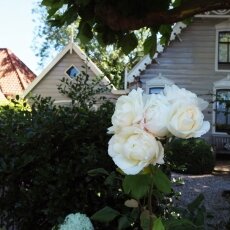 Broek in Waterland 04