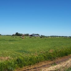 Dutch countryside