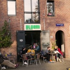 Bloem - the entrance