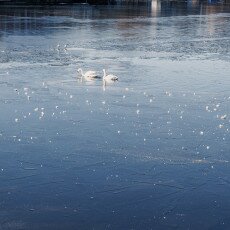 Amsterdam in blue and gold 02