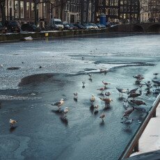 Amsterdam in blue and gold 03