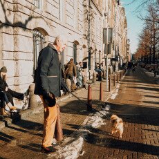 Amsterdam in blue and gold 05