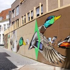 Breda day-trip 22