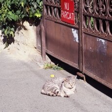 Sunny September in Bucharest 04