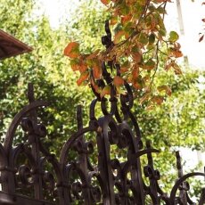 Sunny September in Bucharest 05