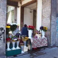 Sunny September in Bucharest 13