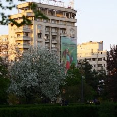 Streets of Bucharest 23