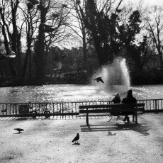 Morning in the park - Amsterdam, Westerpark