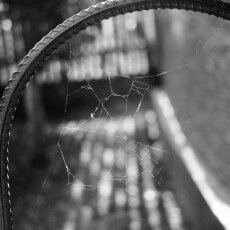 Spider web