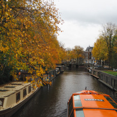 Canal Cruise Amsterdam Autumn