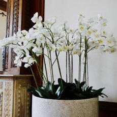 Canal houses interior 21