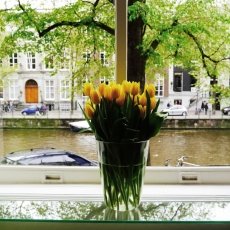 Canal houses interior 24