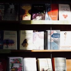 Light and shadows on books about light