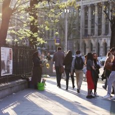 The woman selling spring flowers