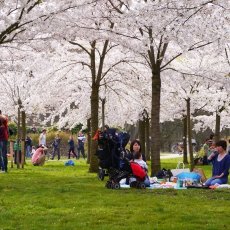 People having a picnic