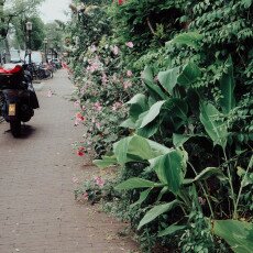 Cloudy day in Amsterdam West 05