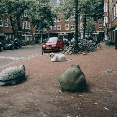 Cloudy day in Amsterdam West 06