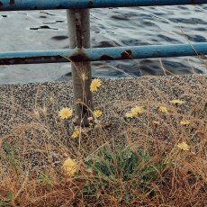 Cloudy day in Amsterdam West 15