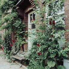 Cloudy day in Amsterdam West 18