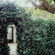 Cloudy day in Amsterdam West 21