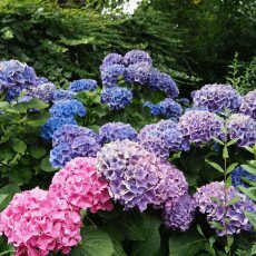 Cloudy day in Amsterdam West 25