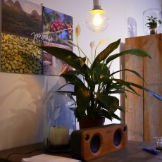 Coffee Tasting - Jones Brothers 01