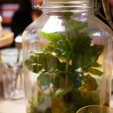 Coffee Tasting - Jones Brothers 28