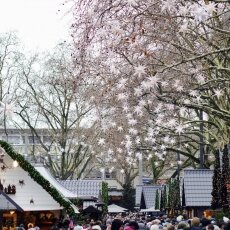 Angels Market in Cologne