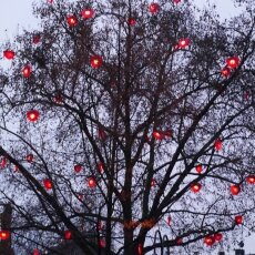 Cologne Christmas Market - the tree of hearts