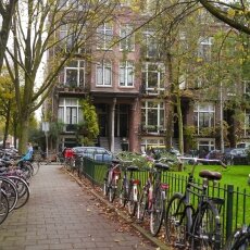 Autumn on the streets 01