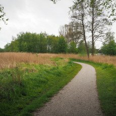 De Alde Feanen National Park 01