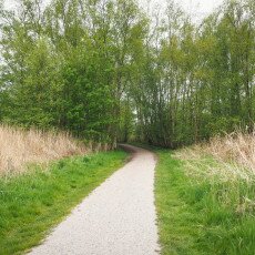 De Alde Feanen National Park 04