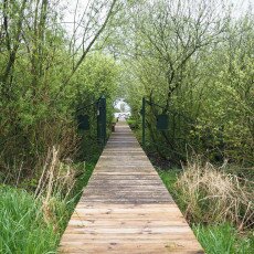 De Alde Feanen National Park 07