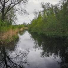 De Alde Feanen National Park 13