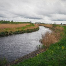 De Alde Feanen National Park 16