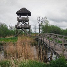 De Alde Feanen National Park 17