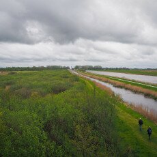 De Alde Feanen National Park 20