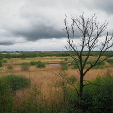 De Alde Feanen National Park 18