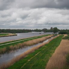 De Alde Feanen National Park 23