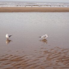 December at the beach 04