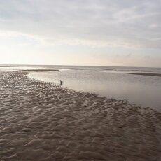 December at the beach 05