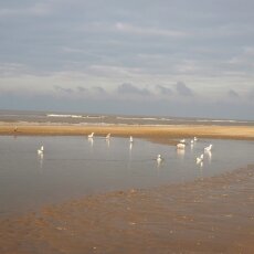 December at the beach 06