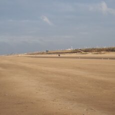 December at the beach 07