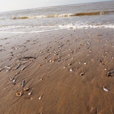 December at the beach 08