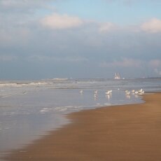 December at the beach 19