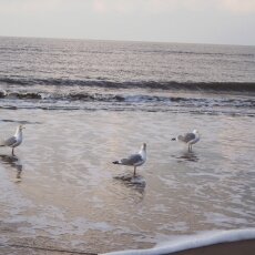 December at the beach 22