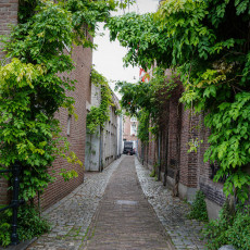 Day-trip Den Bosch 02