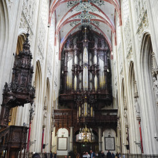 Day-trip Den Bosch 13