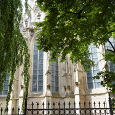 Day-trip Den Bosch 15